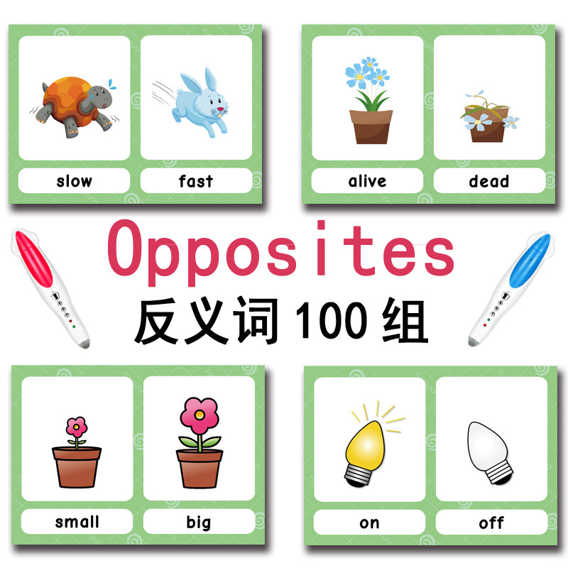 Tarjetas de memoria con 100 gr - Kids Education Learning reseña y precio