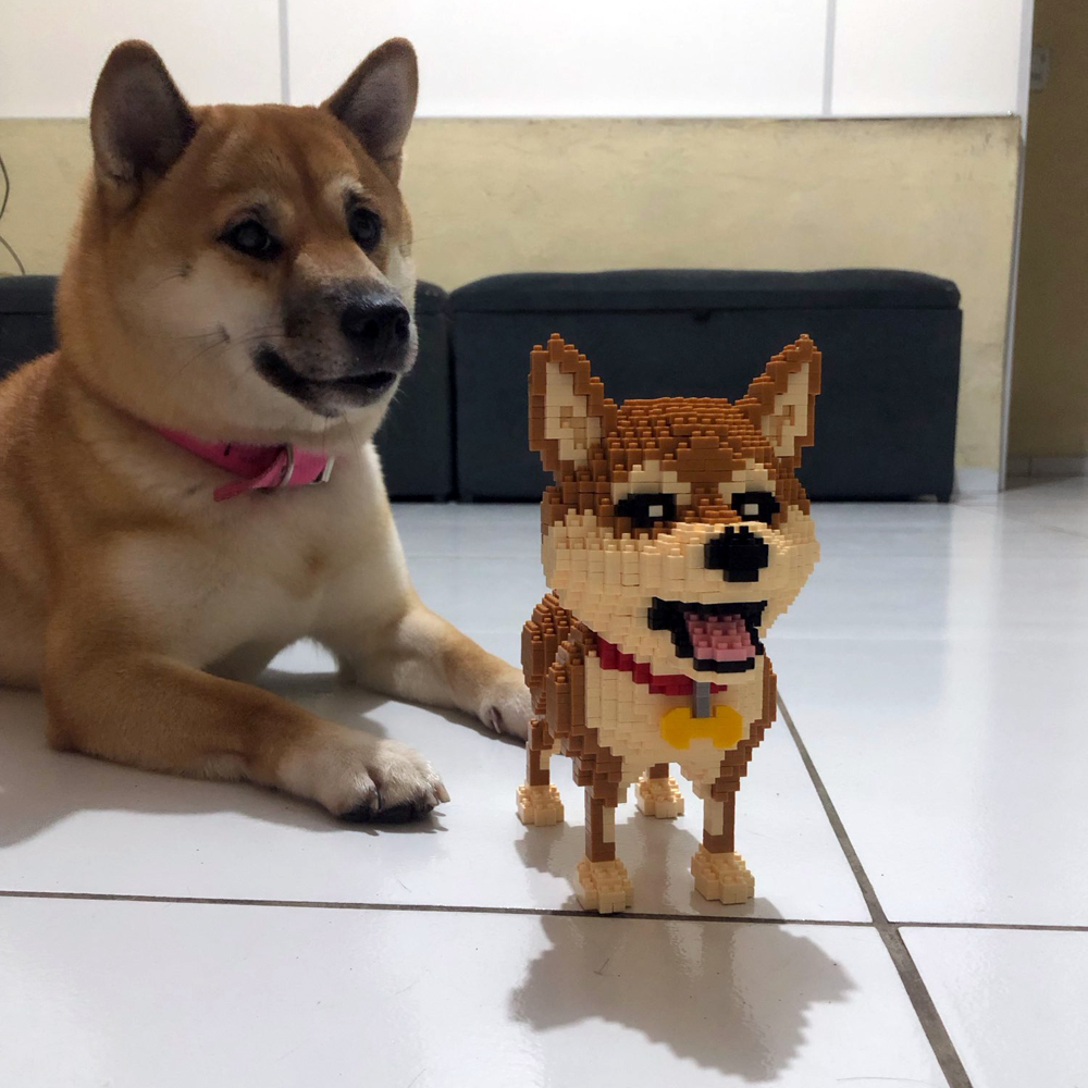 KNEW BUILT Modelo de perros Sh - Kids Education Recreation reseña y precio