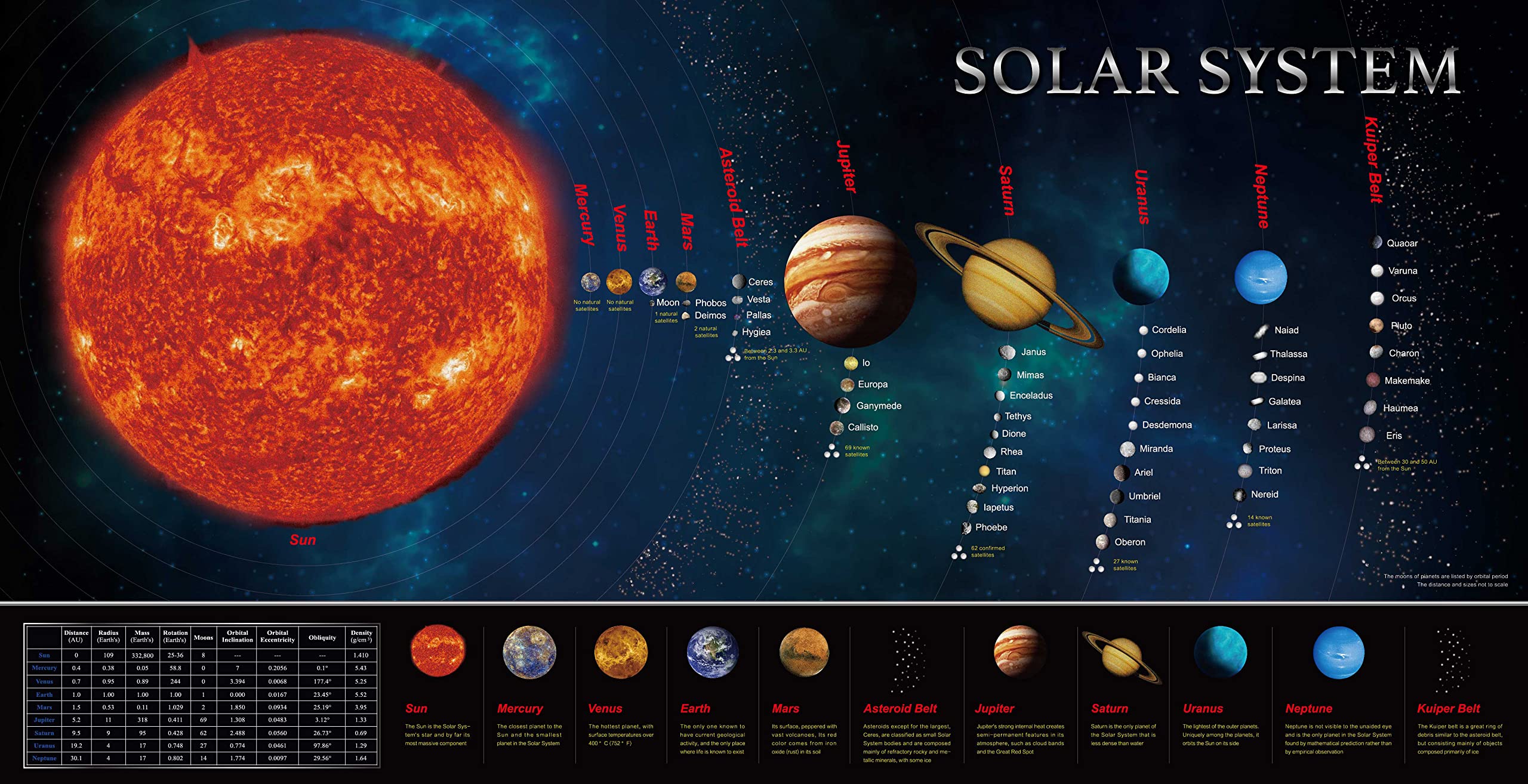 Pancarta de ciencia educativa  - Kids Education Banner reseña y precio