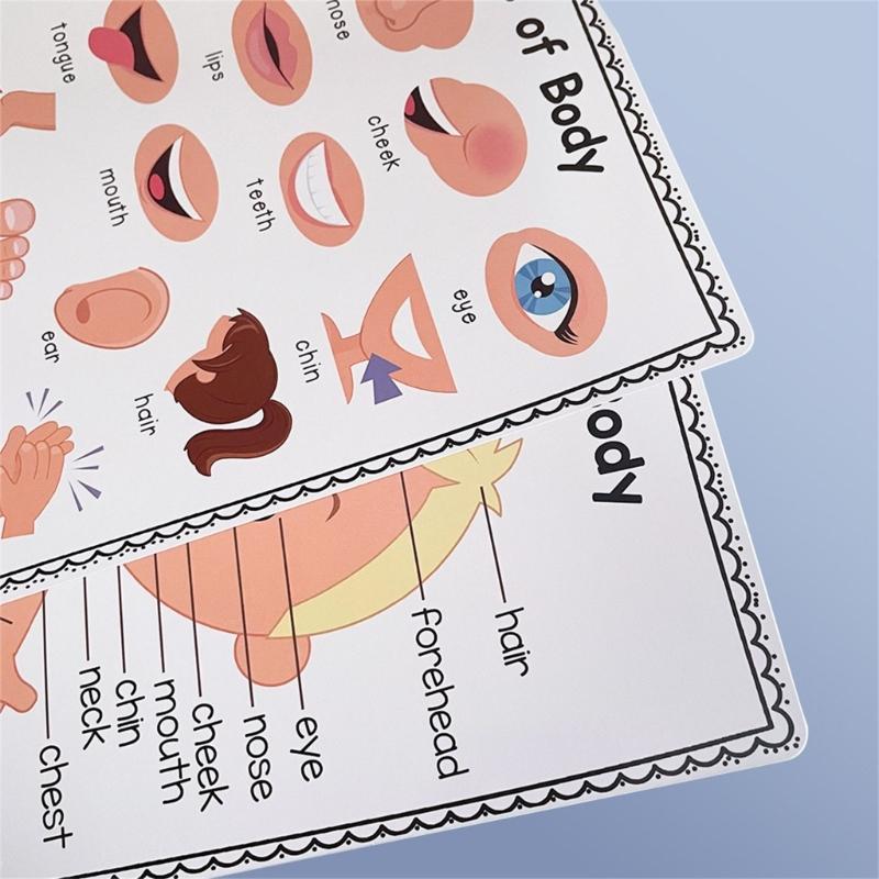 Gráfico interactivo divertido  - Kids Educational Posters reseña y precio