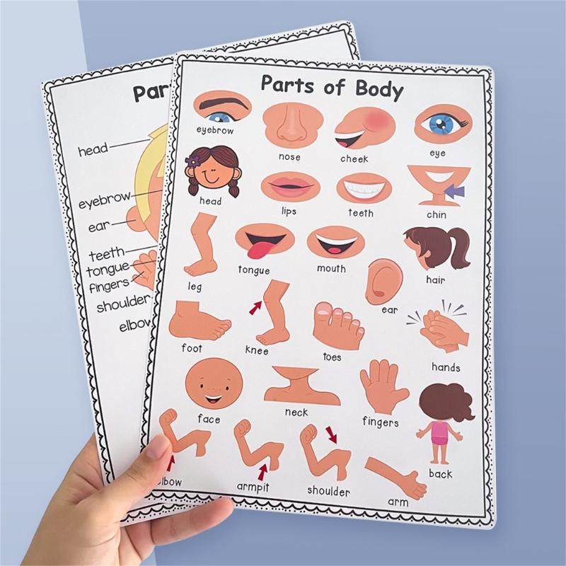 Gráfico interactivo divertido  - Kids Educational Posters reseña y precio