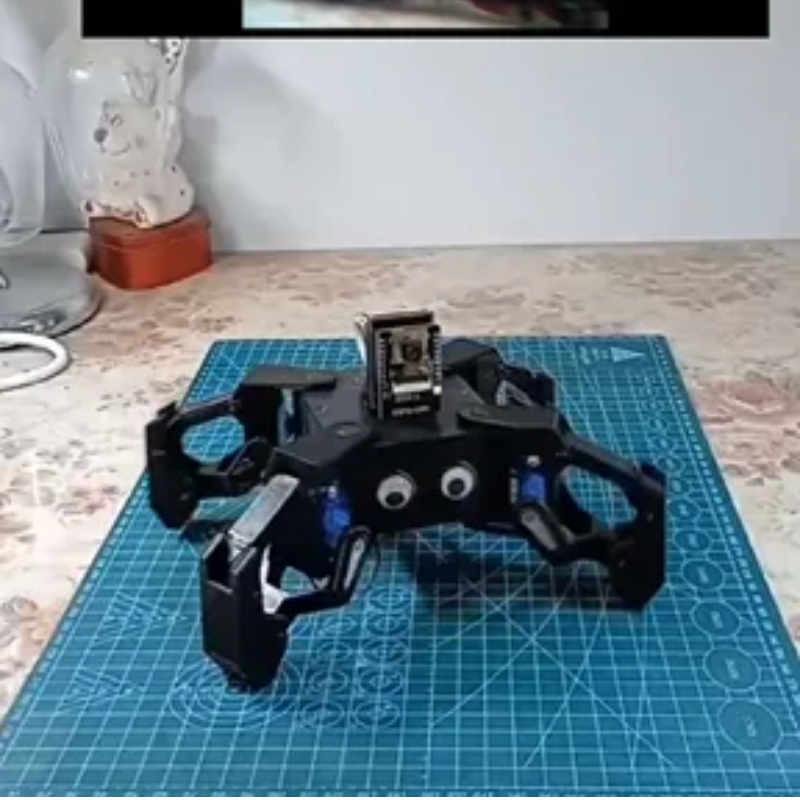Robot de vídeo SG90 Spider con - Coding Robot Toy reseña y precio